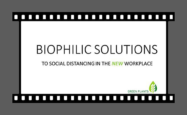 Biophilic Solutions to Social Distancing