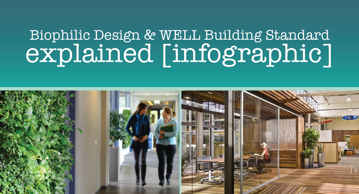 Introduction To Biophilic Design And The Well Building Standard Infographic