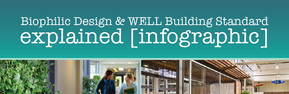 Introduction to Biophilic Design & The WELL Building Standard [Infographic]