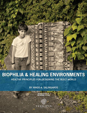 Biophilia & Healing EnvironmentsFeatured Image