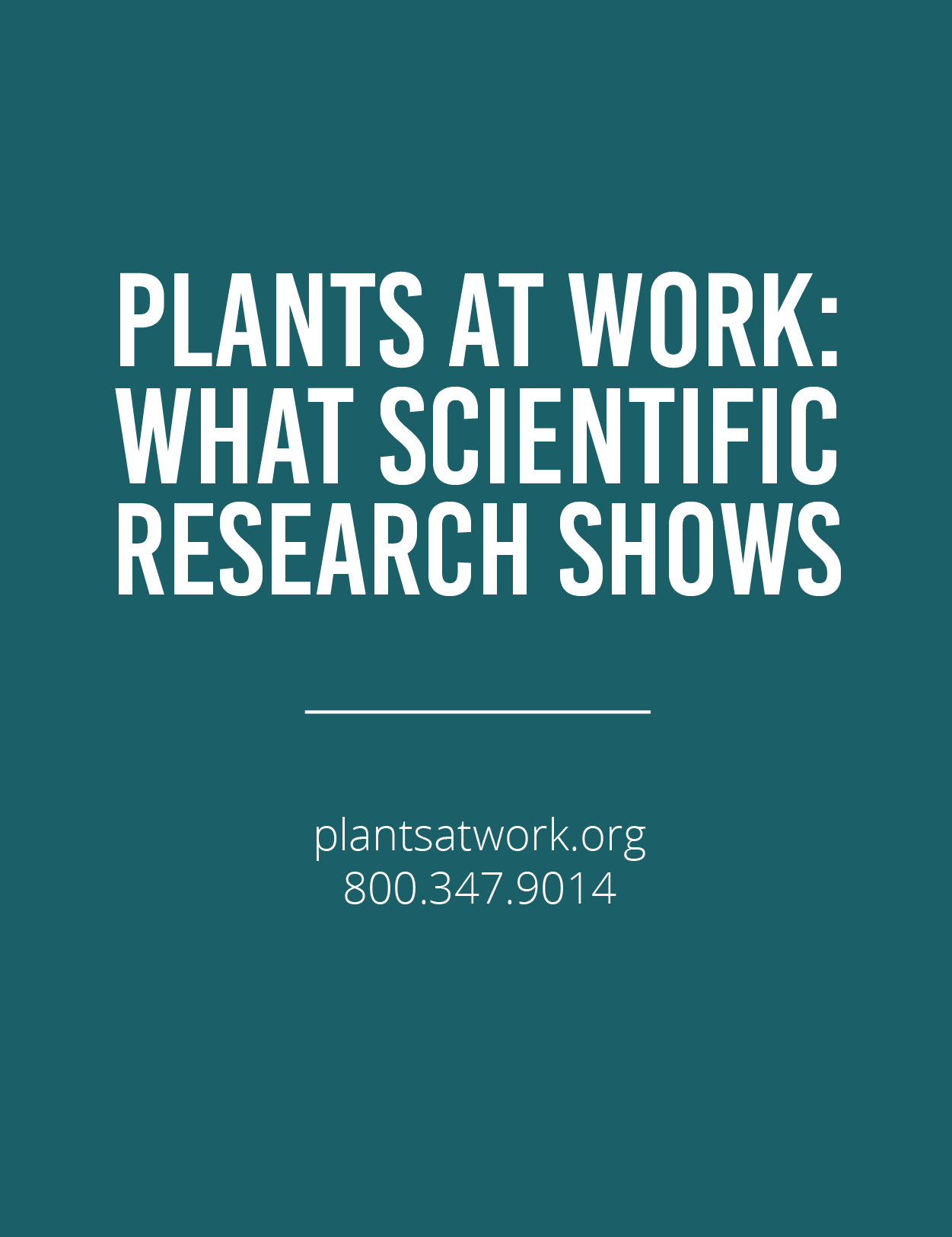 Plants at Work: What Scientific Research ShowsFeatured Image
