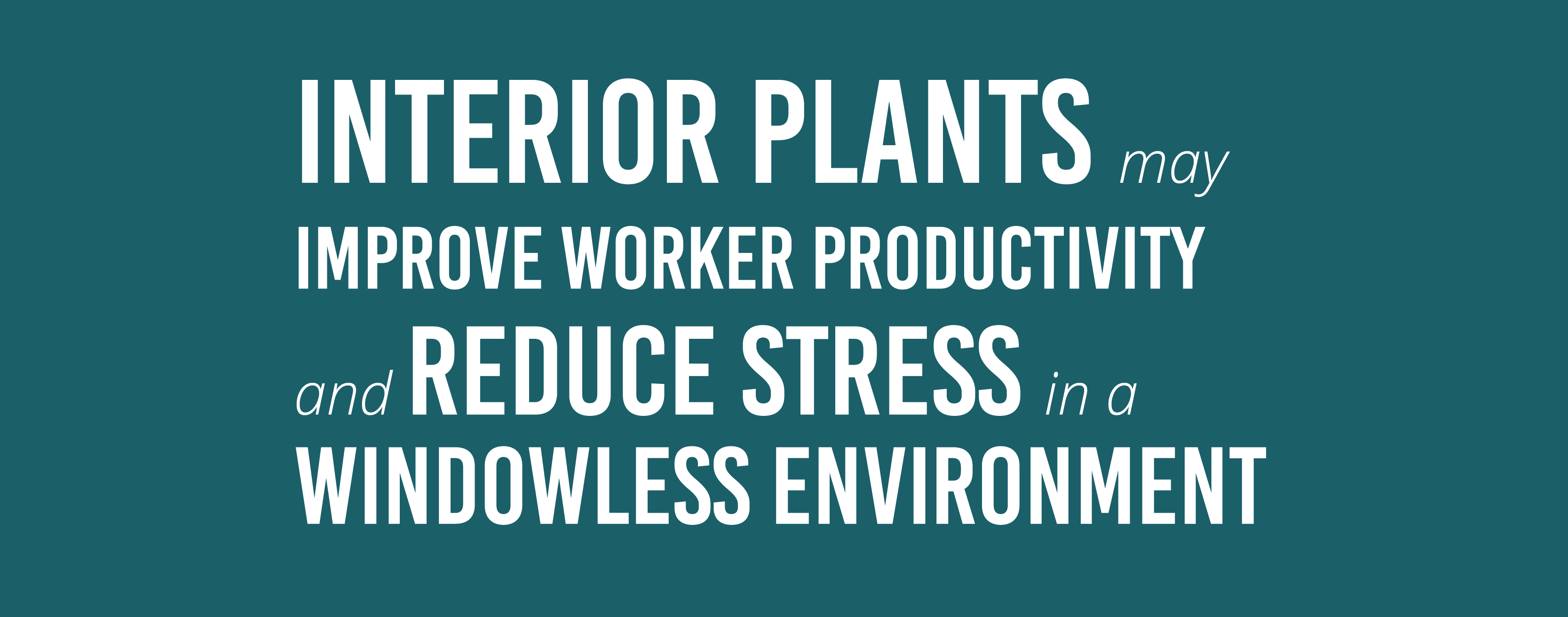 Interior Plants Improve Worker Productivity