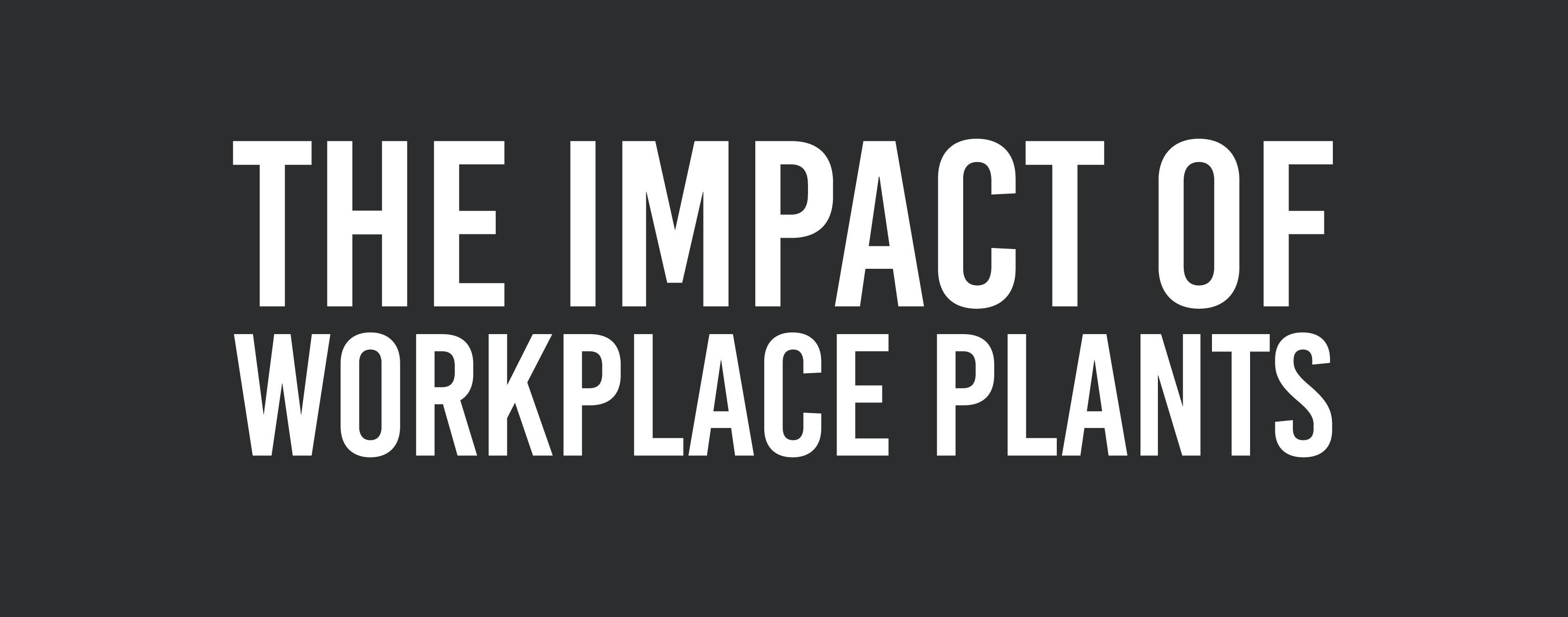 Impact of Workplace Plants