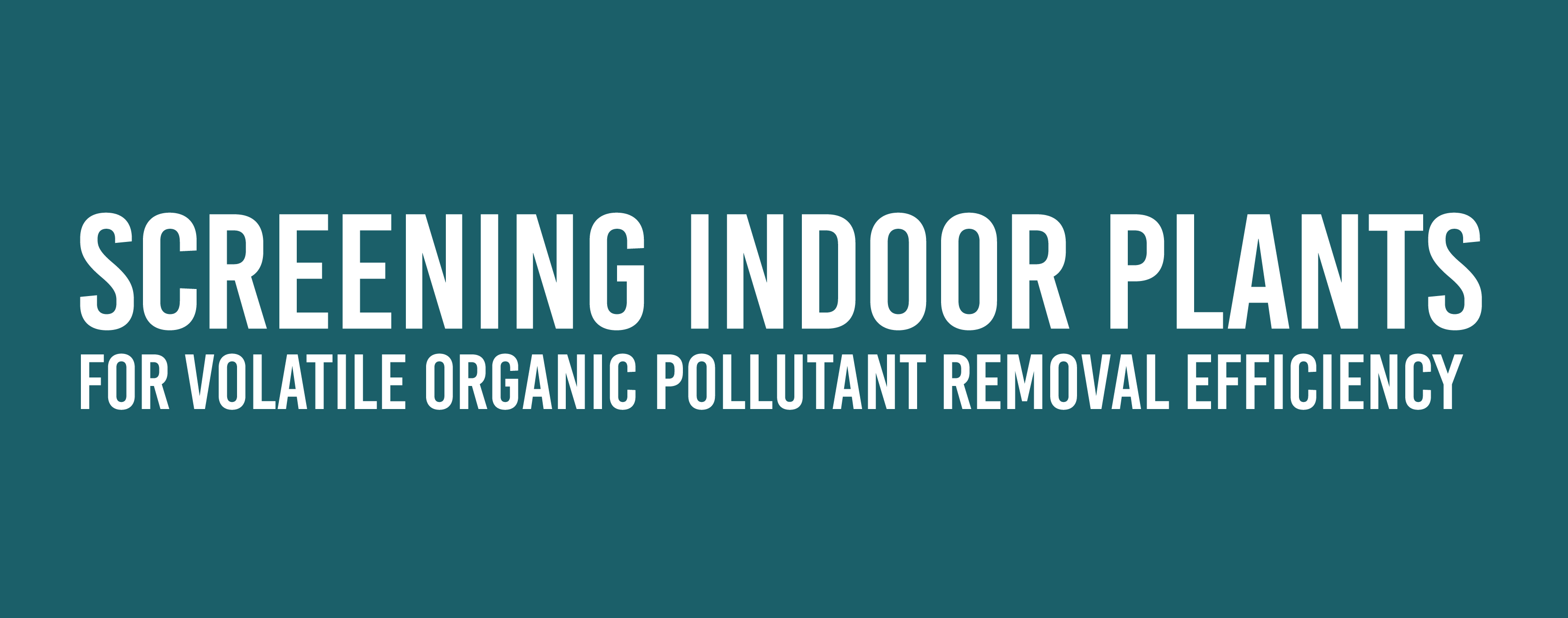 indoor plants voc removal