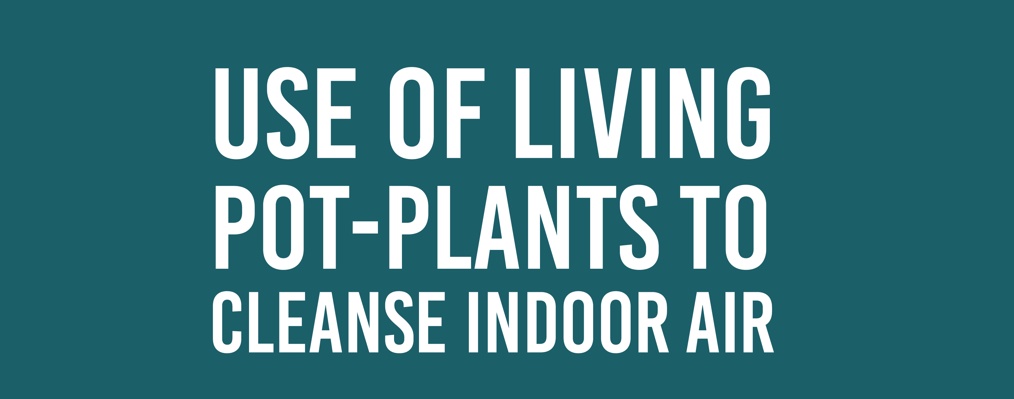 plants cleanse indoor air