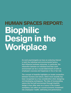 Human Spaces: Biophilic Design in the WorkplaceFeatured Image