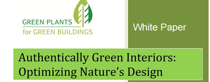 Authentically Green Interiors Whitepaper
