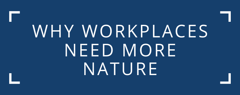 workplaces need more nature