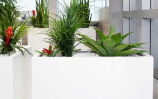 NewPro Containers Fiberglass Planter Collection