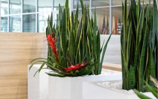 NewPro Containers Fiberglass Planter Collection