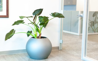 fiberglass planters indoors