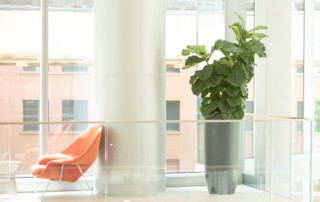 indoor fiberglass planters