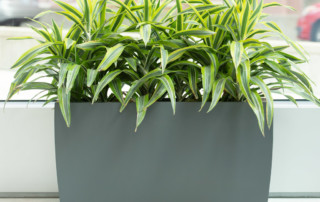 fiberglass rectangle plant container