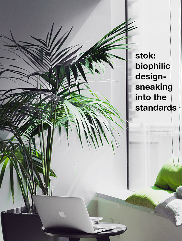 stok: Biophilic Design Sneaking into the StandardsFeatured Image