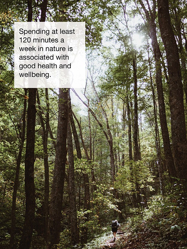 Spending at Least 120 Minutes a Week in Nature…Featured Image