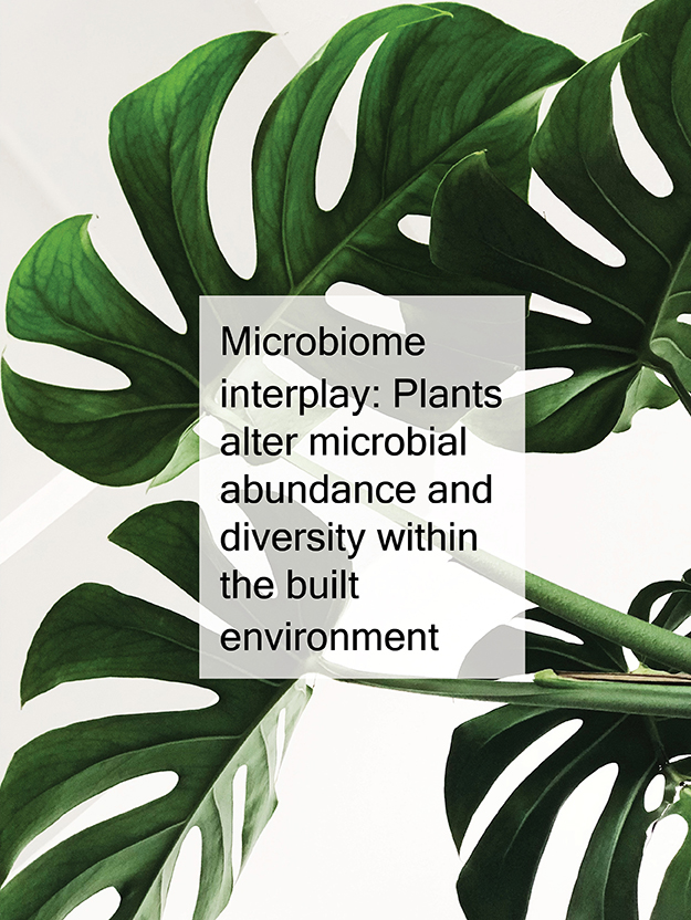 Plants Alter Indoor MicrobiomeFeatured Image
