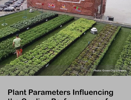 Plant Parameters in Green Roofs