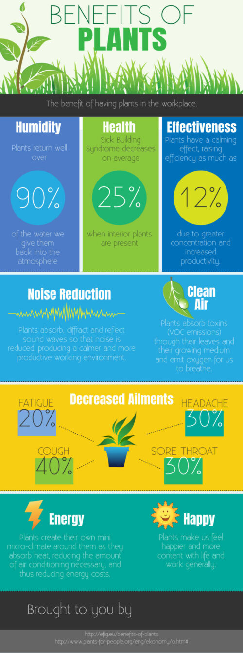 Benefits of Plants [Infographic] | Green Plants for Green Buildings