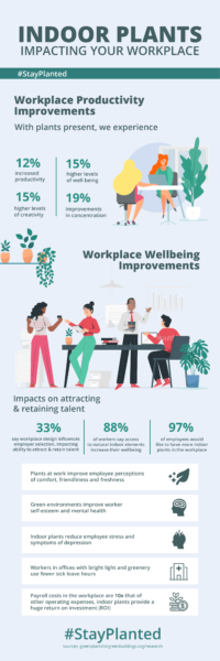 Indoor Plants Impacting Your Workplace [Infographic] | Green Plants for ...