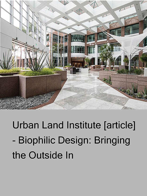 Biophilic Design: Bringing the Outside InFeatured Image