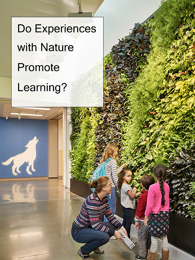 Do Experiences With Nature Promote Learning?Featured Image