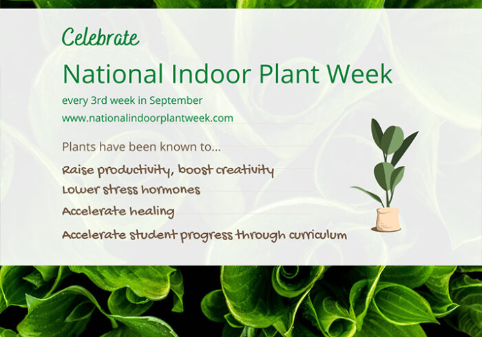 National Indoor Plant Week Green Plants For Green Buildings
