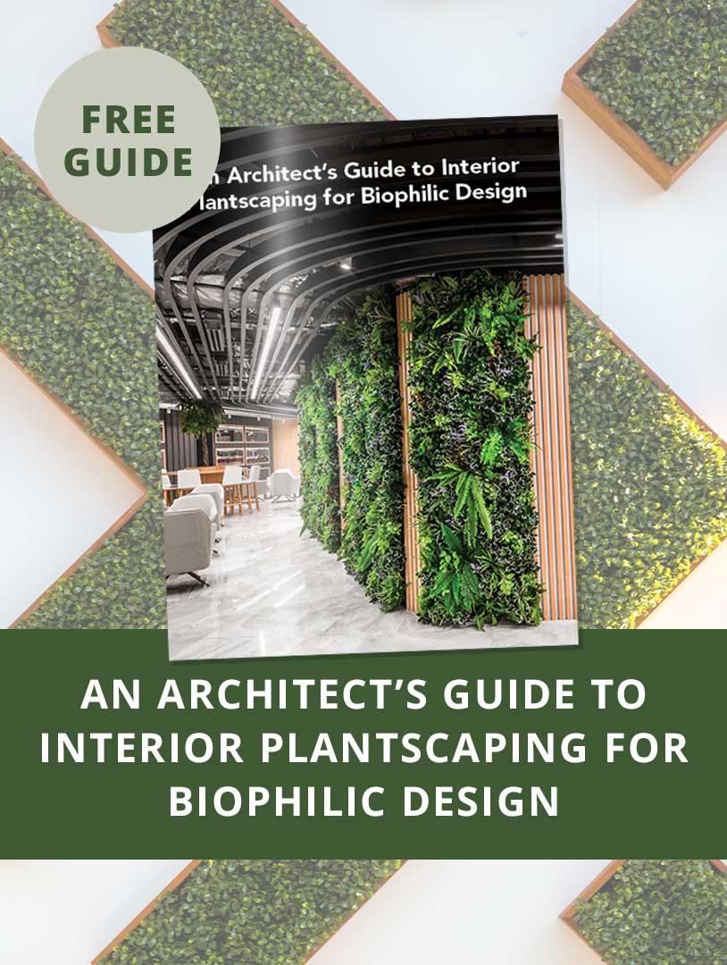 An Architect's Guide to Interior Plantscaping for Biophilic Design