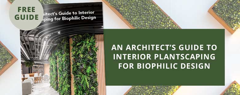 An Architect's Guide to Interior Plantscaping for Biophilic Design