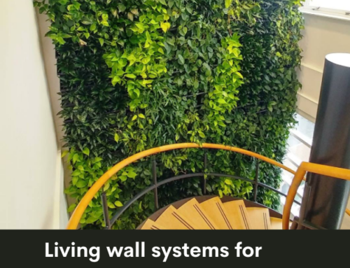 Living Wall Systems for Improved Thermal Performance of Existing Buildings