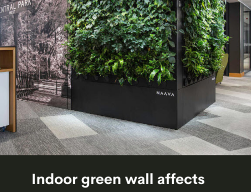 Indoor Green Wall Affects Health-Associated Commensal Skin Microbiota and Enhances Immune Regulation