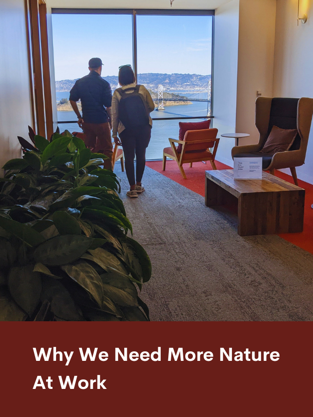 Why We Need More Nature at WorkFeatured Image