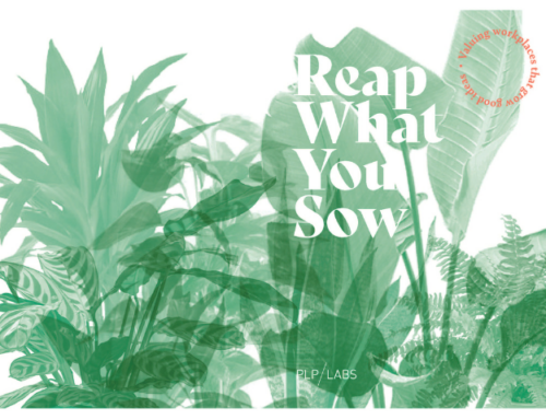 PLP Labs: Reap What You Sow