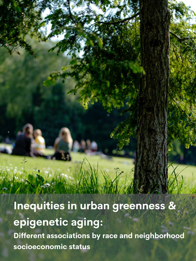 Inequalities in Urban Greenness and Epigenetic AgingFeatured Image