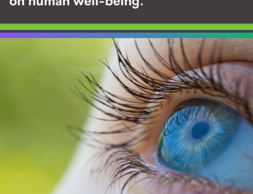 Biophilic office design: Exploring the impact of a multisensory approach on human well-being.