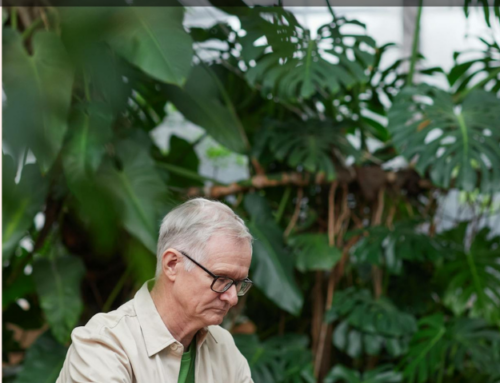 Development of an Older Adult Community Centre Based on Biophilic Architecture Principles